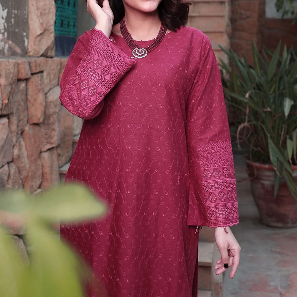 Eminent Cotton Lawn Schiffli & Chikankari Unstitched 2Pcs Suit - 11