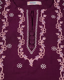 Valuables Girls Embroidered 2PCS Suit
