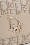Ladies Shoulder Box Dior H-10