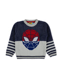 Eminent Boys Sweater
