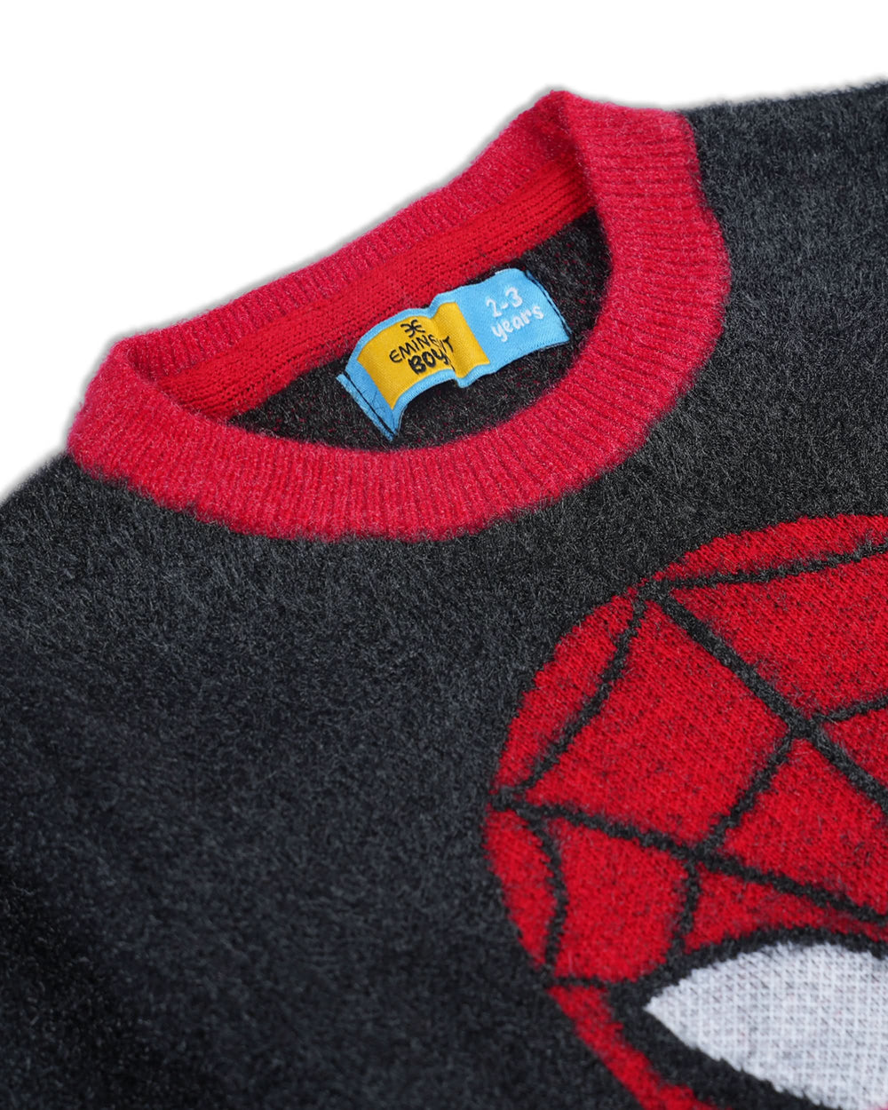 Eminent Boys Sweater