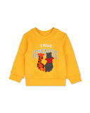 Eminent Newborn Boys Sweatshirt