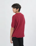 Eminent Boys Plain Acrylic Polo Sweater