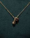 Eminent Girl's Chain Locket