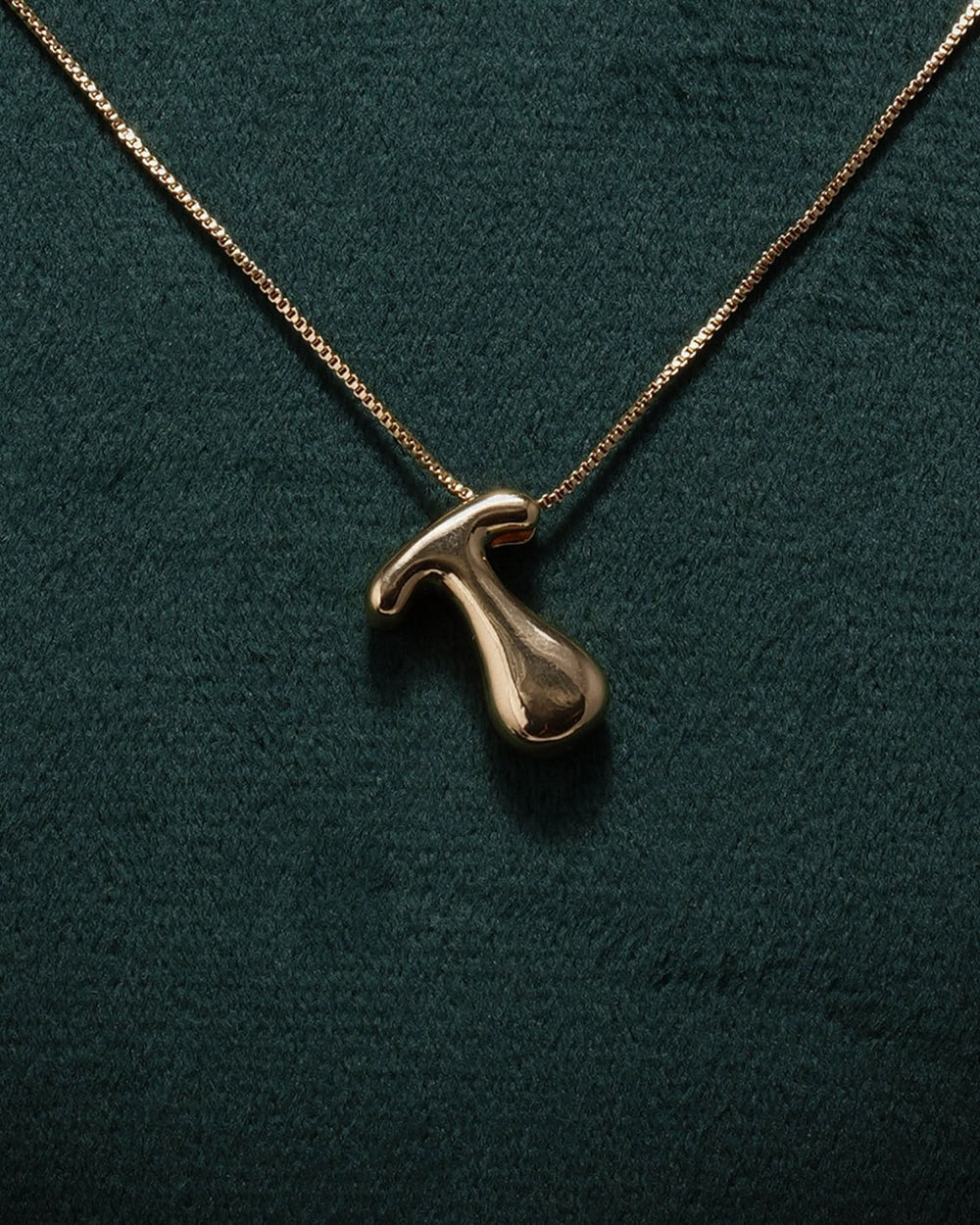 Eminent Girl's Chain Locket
