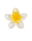 Women's Hair Catcher