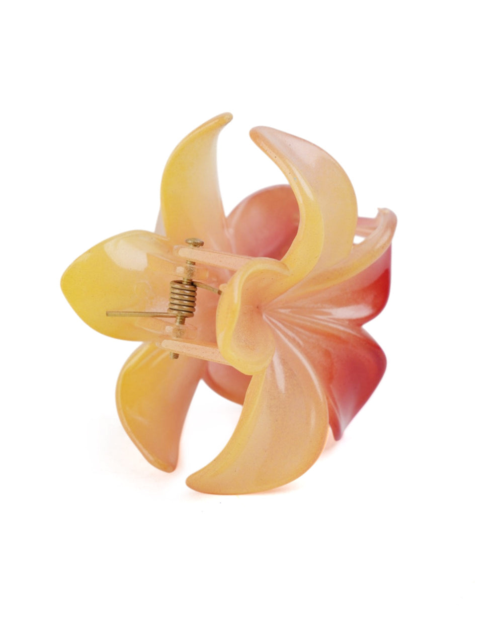 Women's Hair Catcher