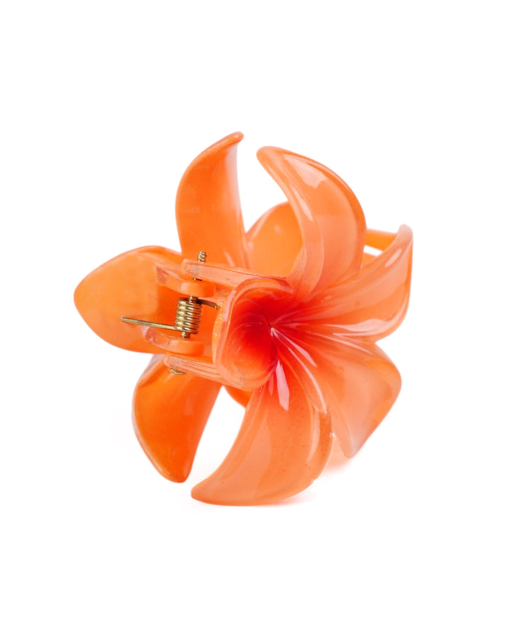 Women's Hair Catcher