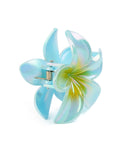 Women's Hair Catcher