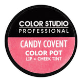 Color Studio Color Pot Lip & Cheek Tint