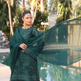 Summer Vibes By Dr. Haris Chikankari Lawn Unstitched 4 Pec Suit - 9