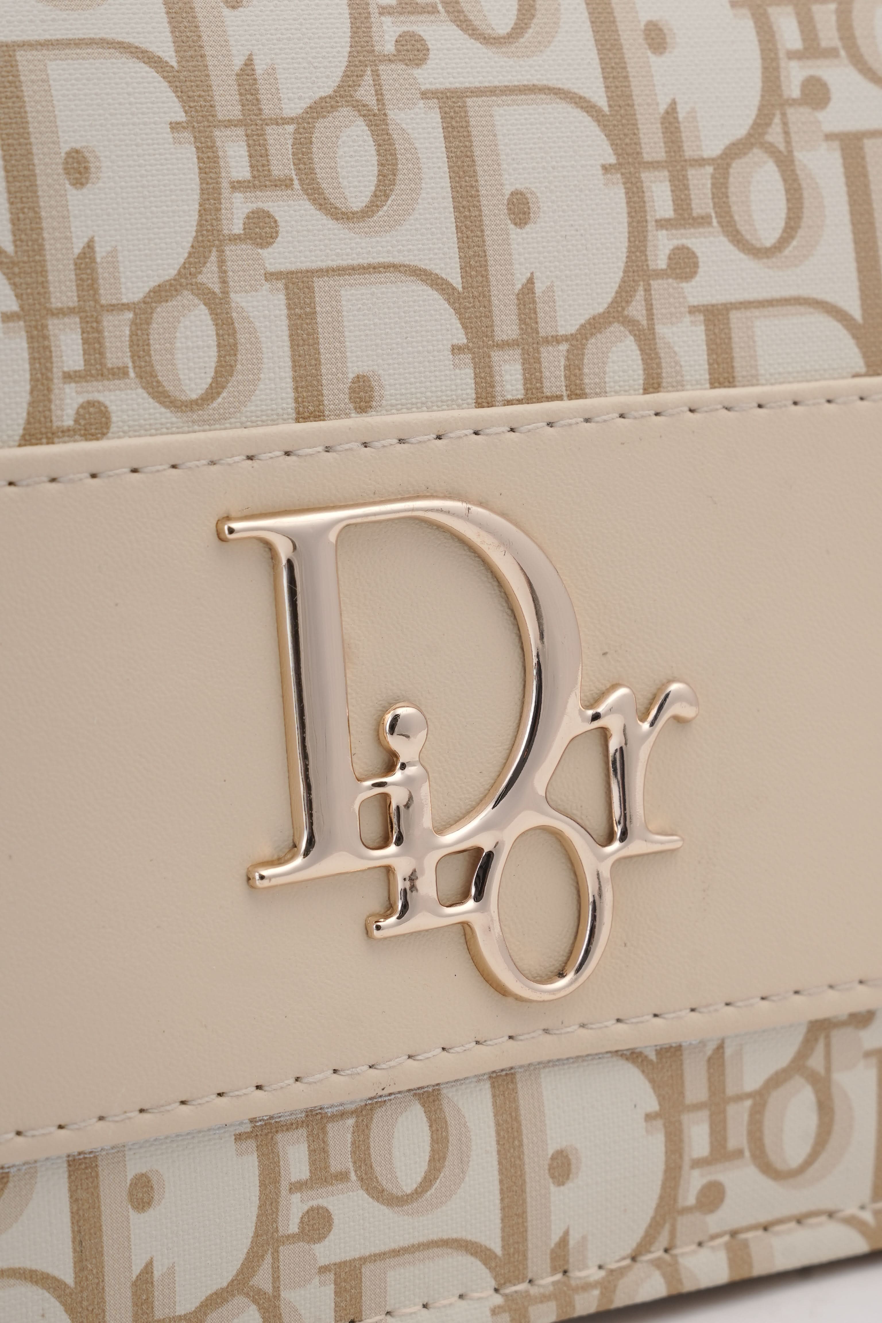 Ladies Shoulder Box Dior H-10