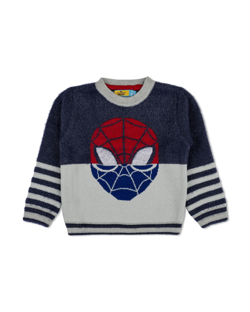 Eminent Boys Sweater