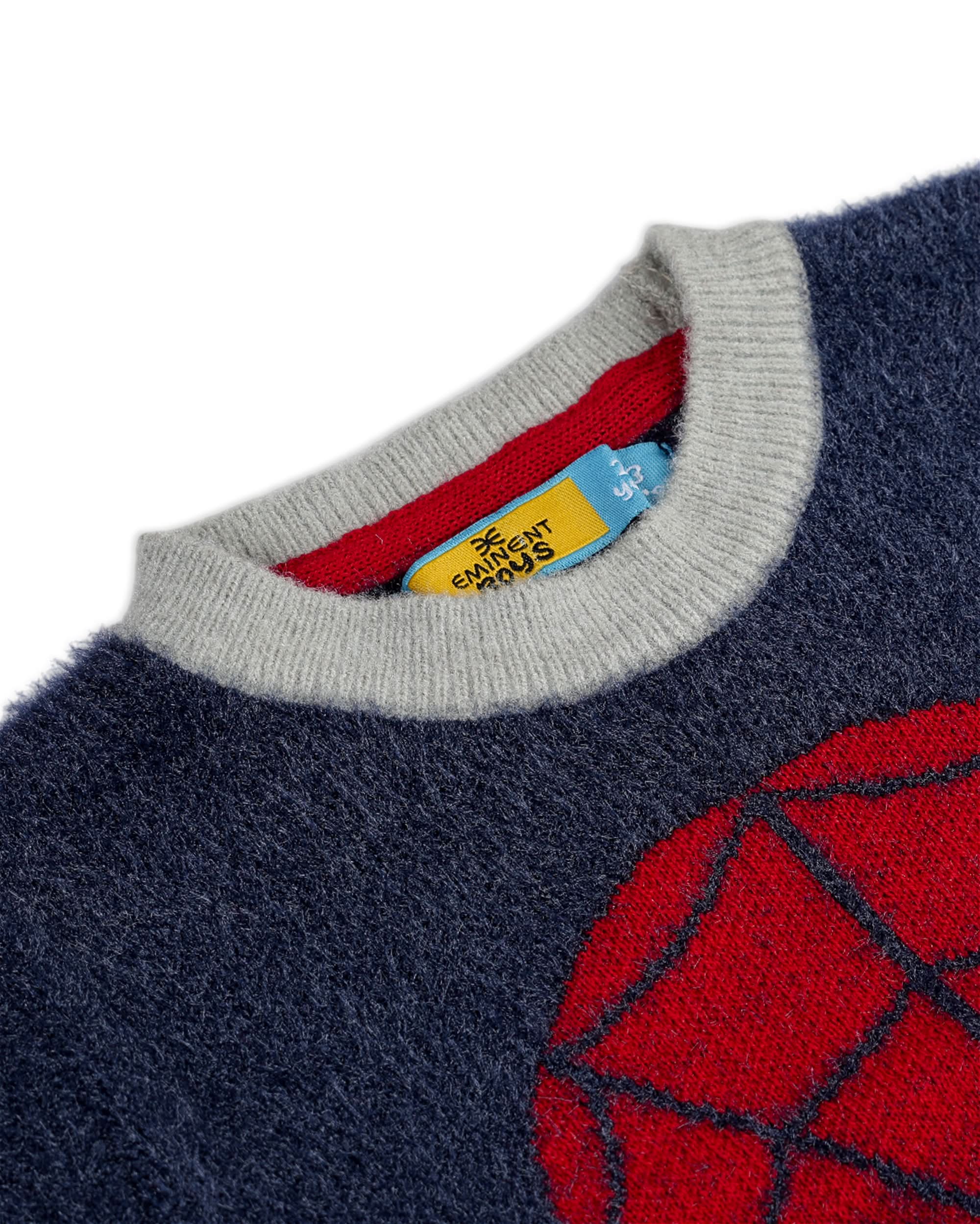 Eminent Boys Sweater