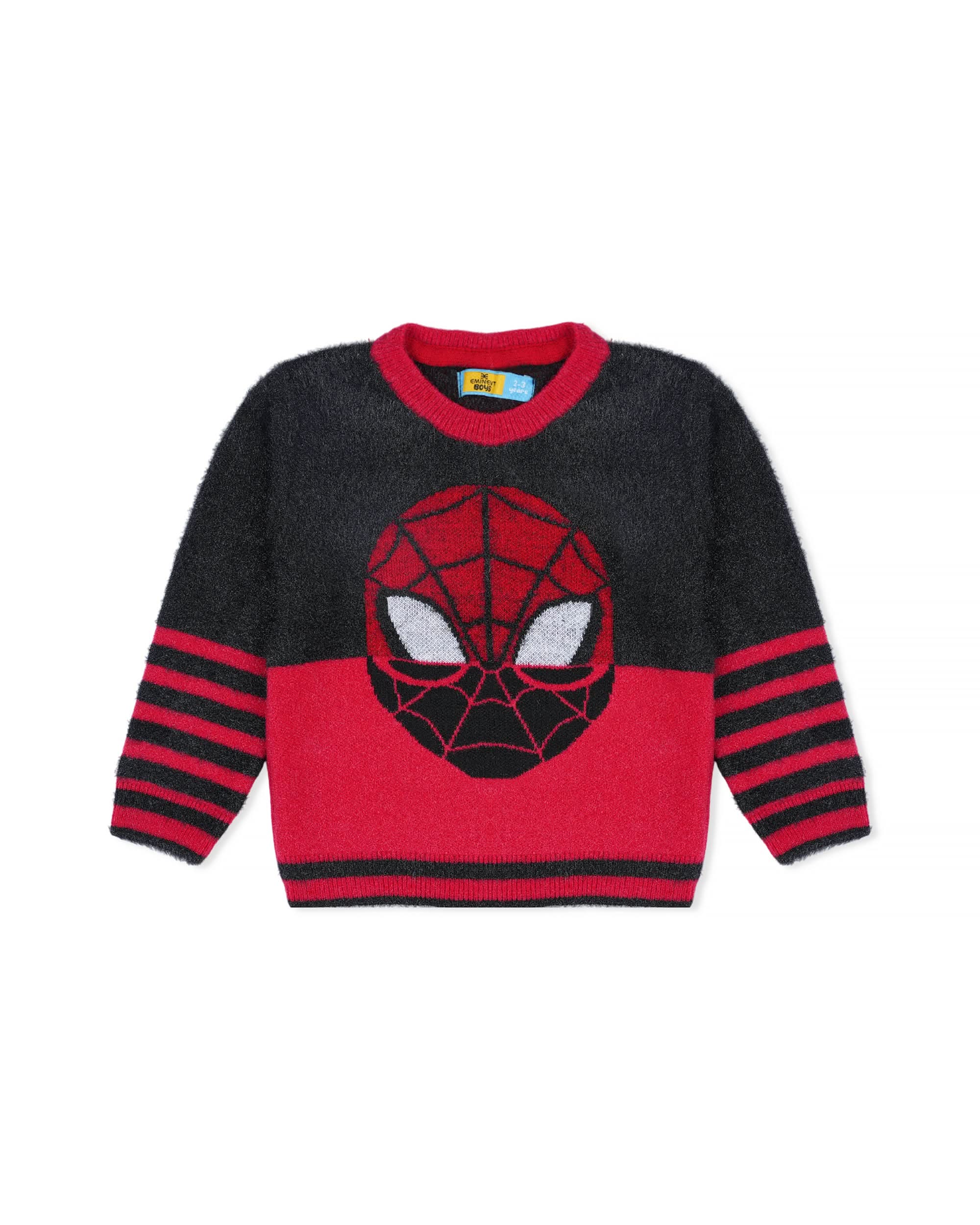 Eminent Boys Sweater