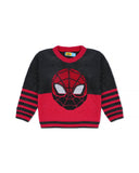 Eminent Boys Sweater