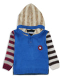Valuable Boy's Hooded Sweaters