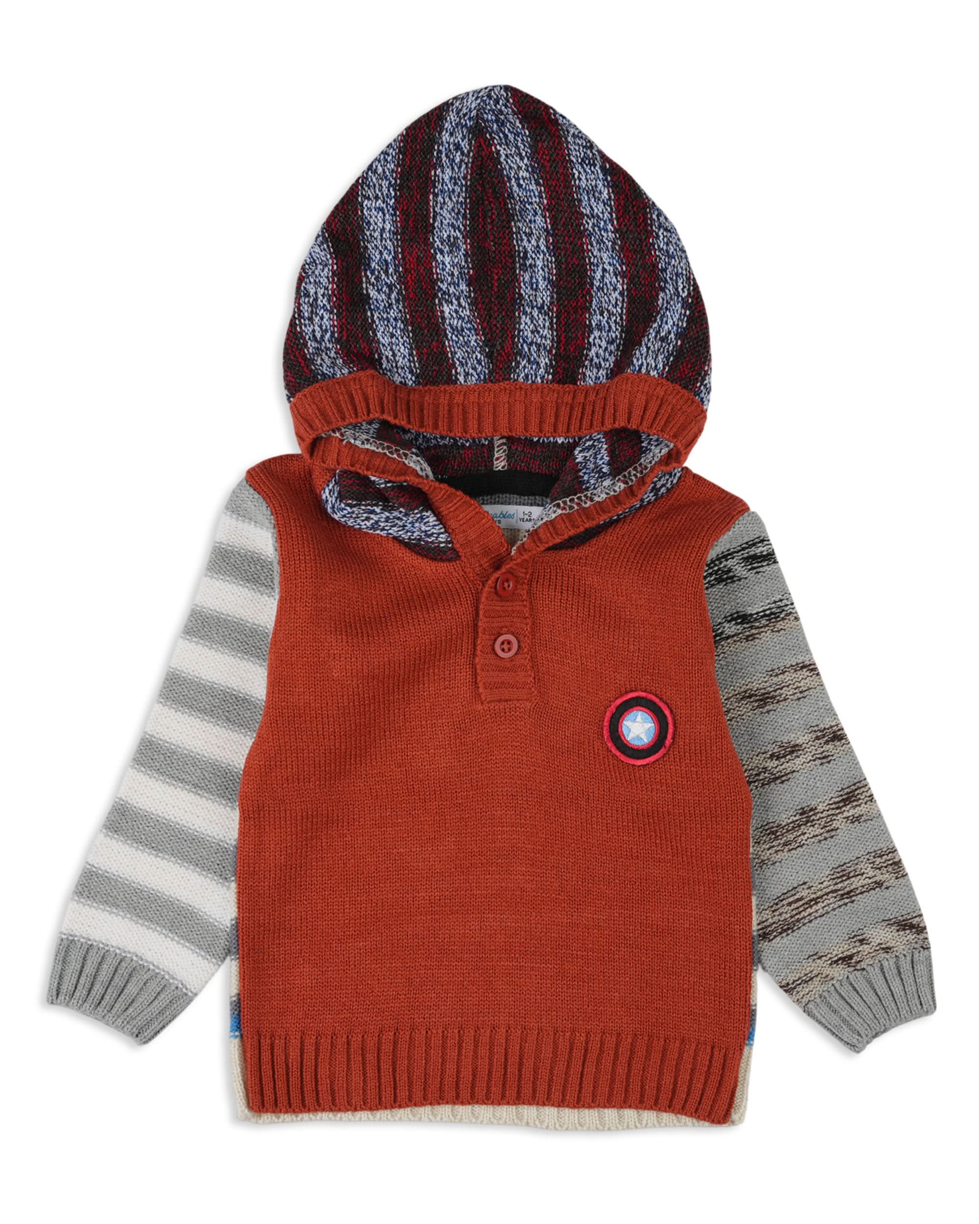 Valuable Boy's Hooded Sweaters