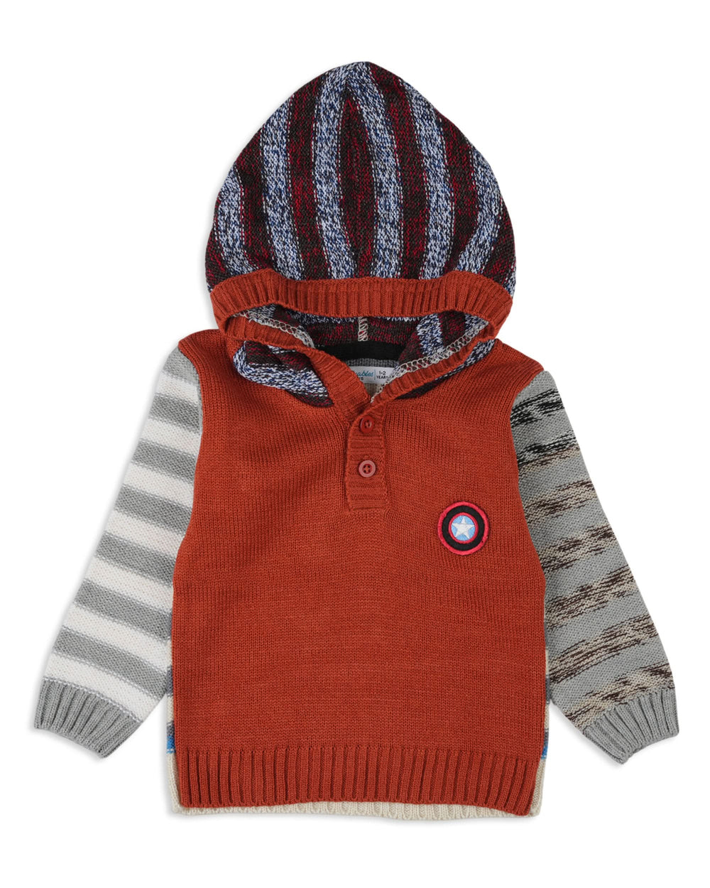 Valuable Boy's Hooded Sweaters