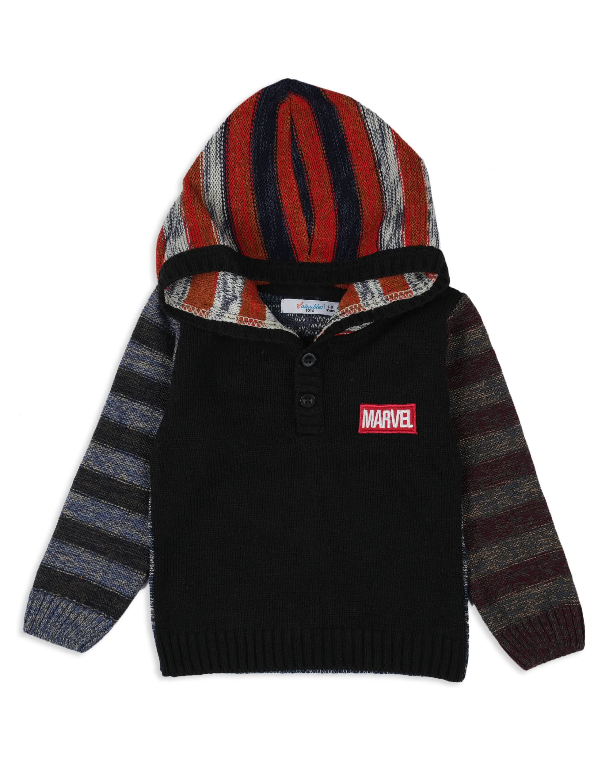 Valuable Boy's Hooded Sweaters