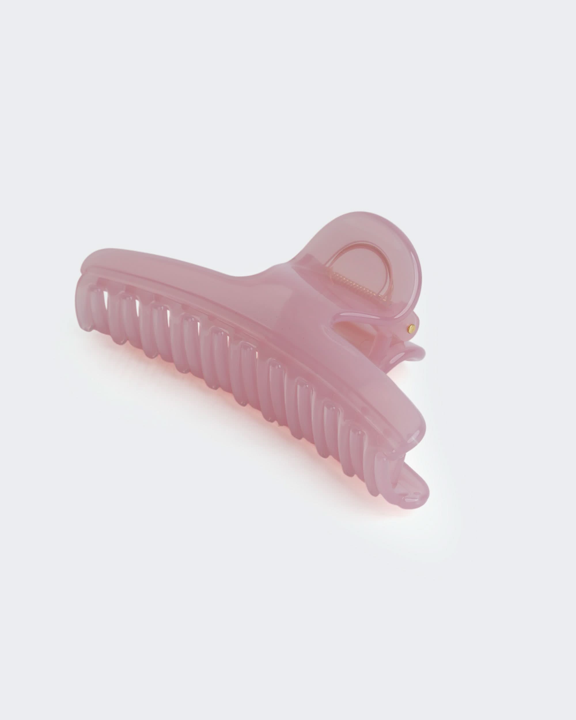 Eminent Women’s Hair Catcher