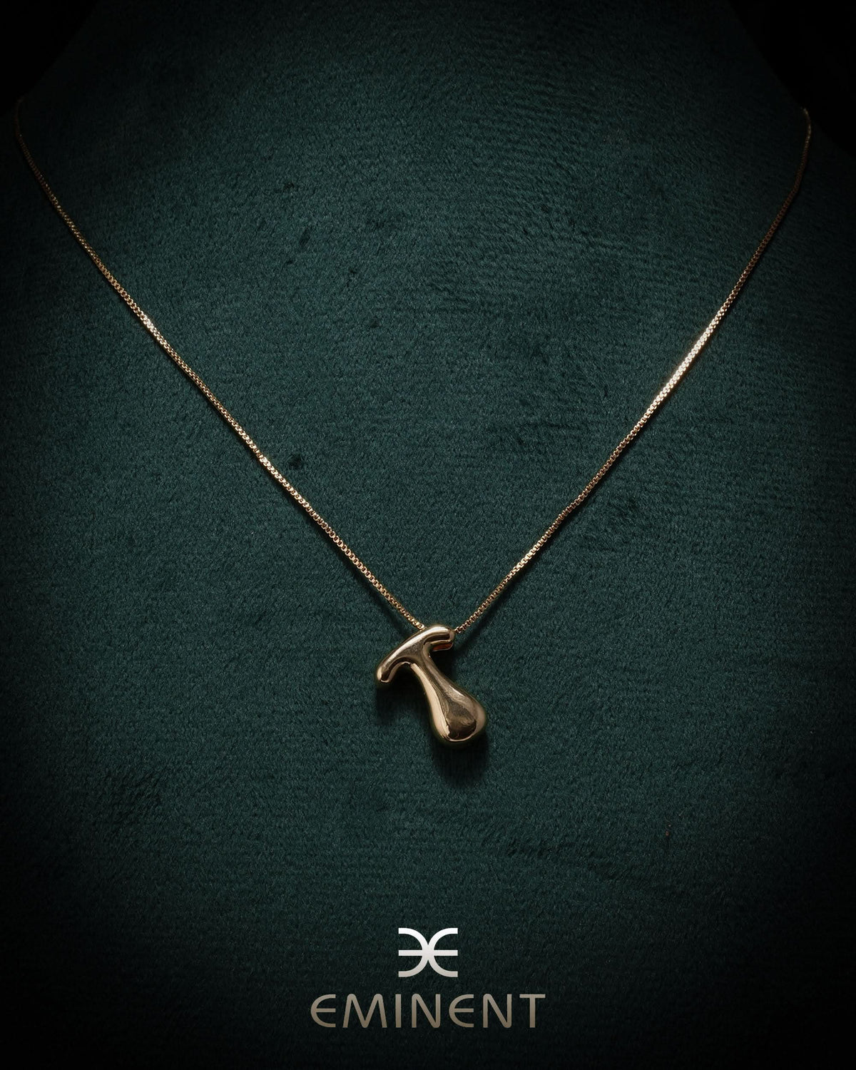 Eminent Girl's Chain Locket