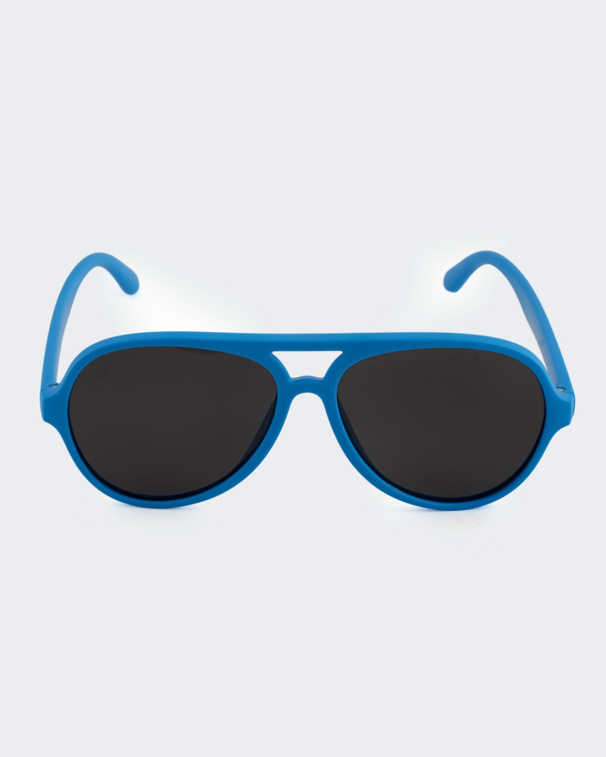 Eminent Classic Aviator Sunglasses