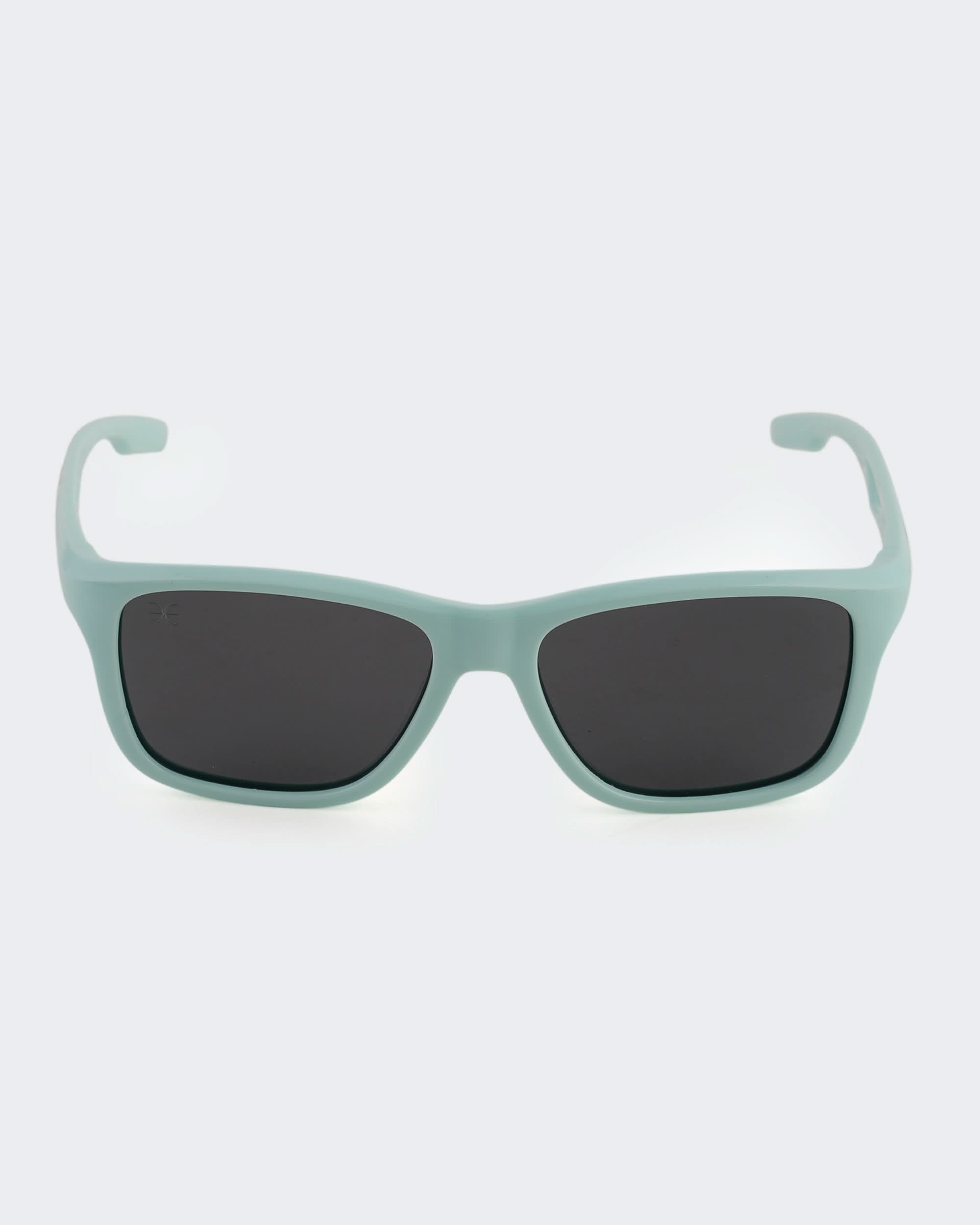 Eminent Classic Rectangular Sunglasses