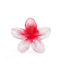 Women's Hair Catcher
