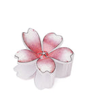 Women's Hair Catcher