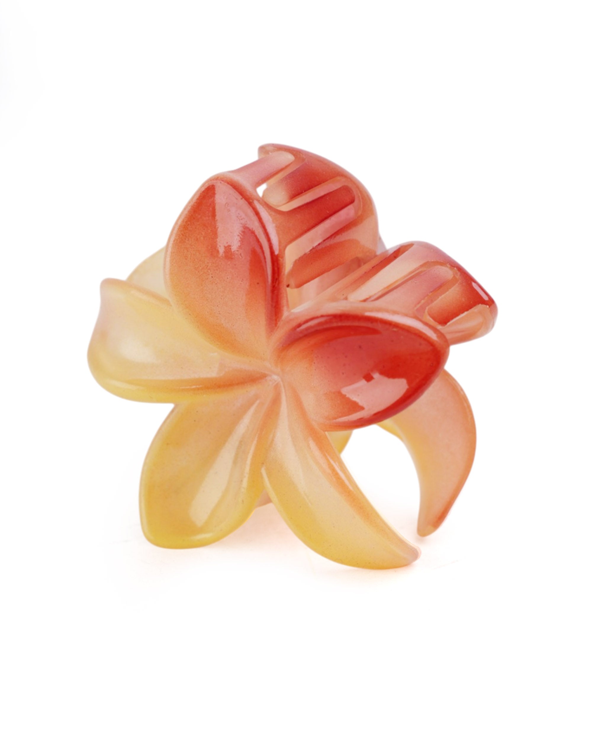 Women's Hair Catcher