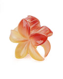Women's Hair Catcher
