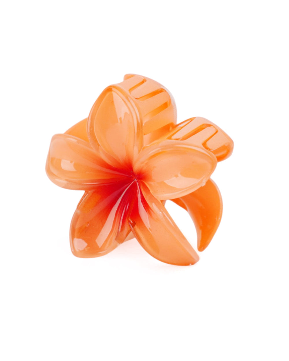 Women's Hair Catcher