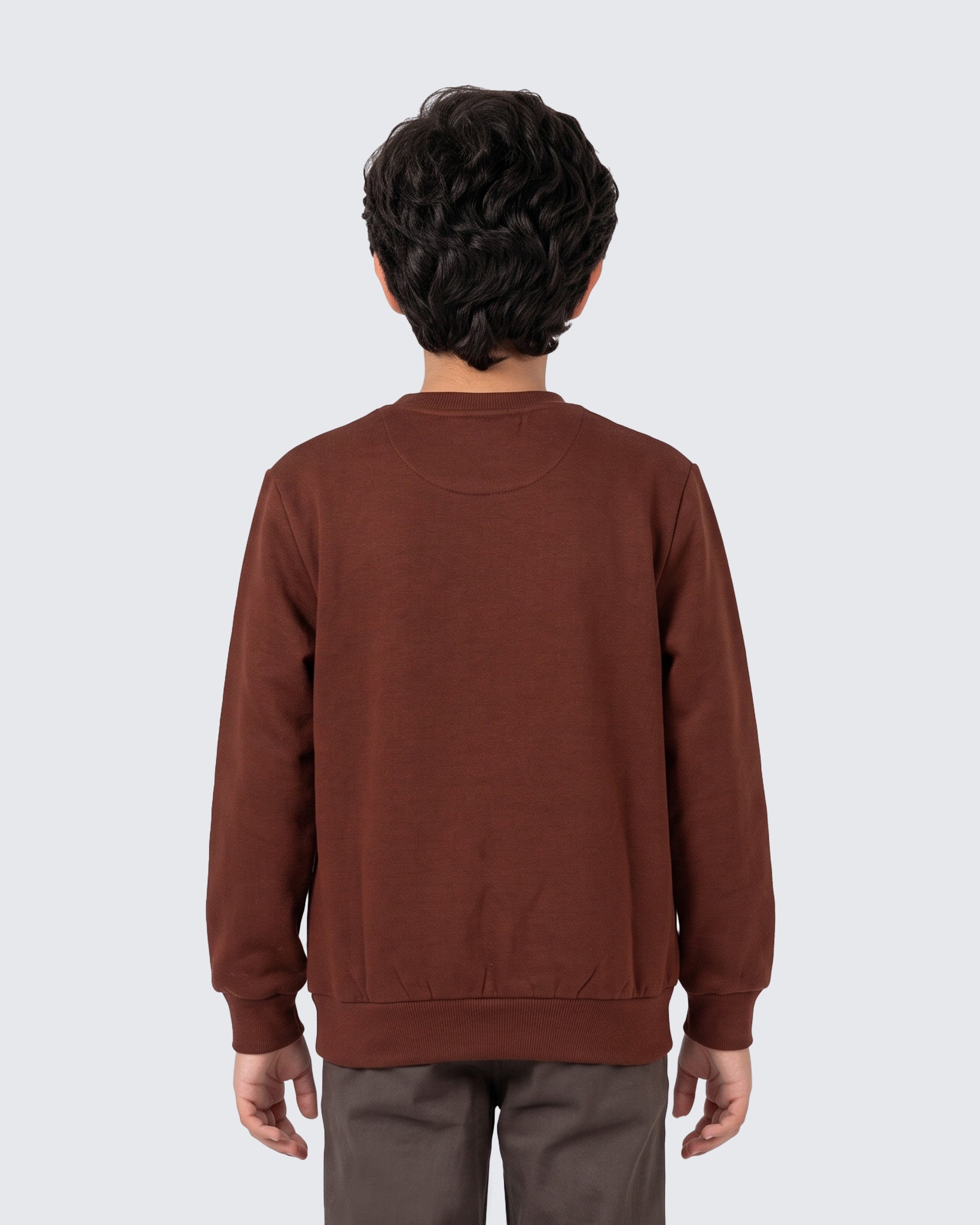 Eminent Boys Knitted Sweatshirt